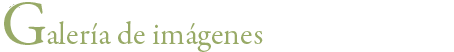 Galería de imágenes